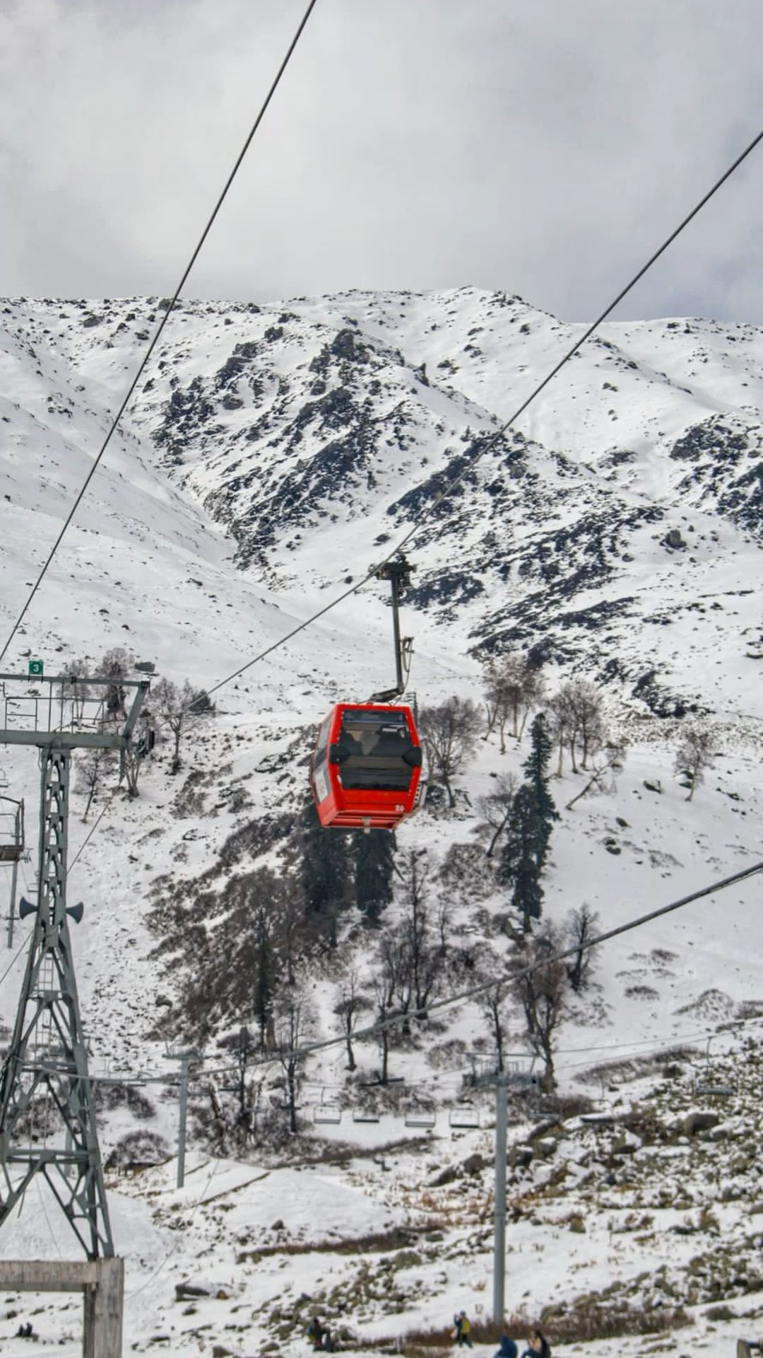 Skiing & Gondola in Gulmarg